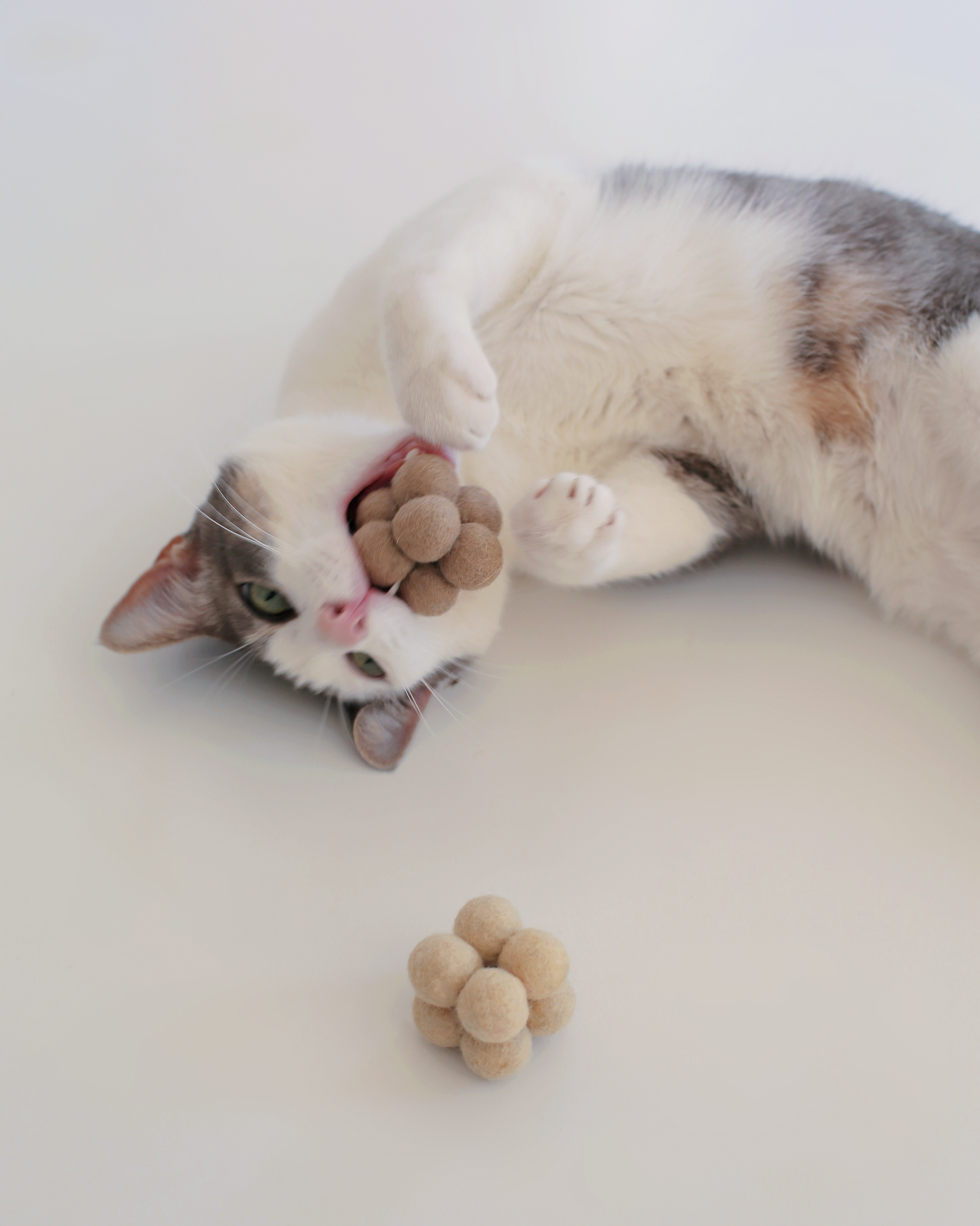 Catenary Pearl Toys