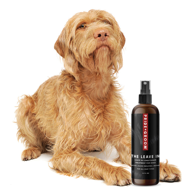 Pride + Groom THE LEAVE IN Dog Detangling Leave in Spray