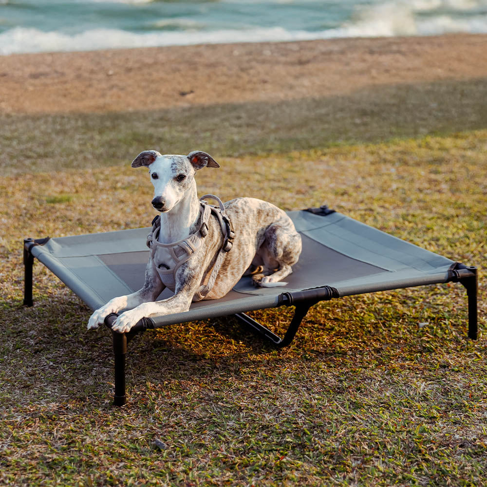 Multi-Functional Breathable Outdoor Cooling Elevated Dog Bed with Canopy Raised Dog Bed Dog Cot for Camp - PawAir