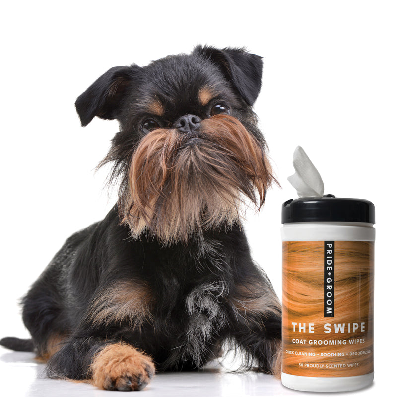 Pride + Groom THE SWIPE Wet Pet Wipes — Alcohol-Free, Hypoallergenic Cleansing Wipes for Dogs & Cats