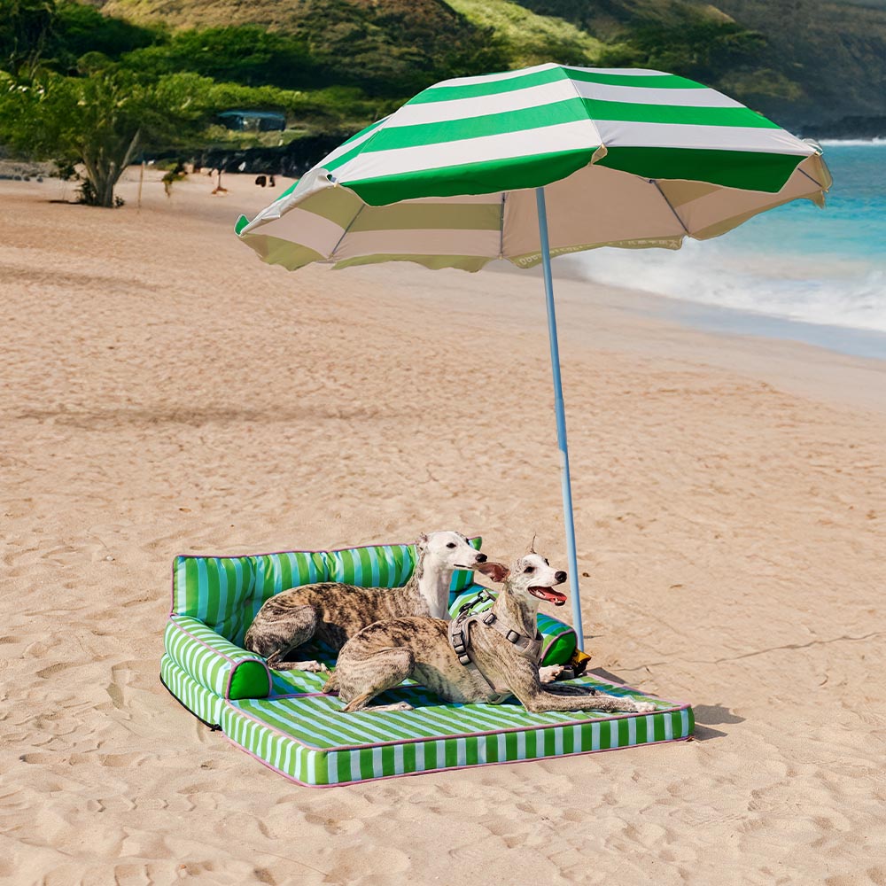 Stripe Waterproof Foldable Large Dog Sofa Bed - Sunny Siesta