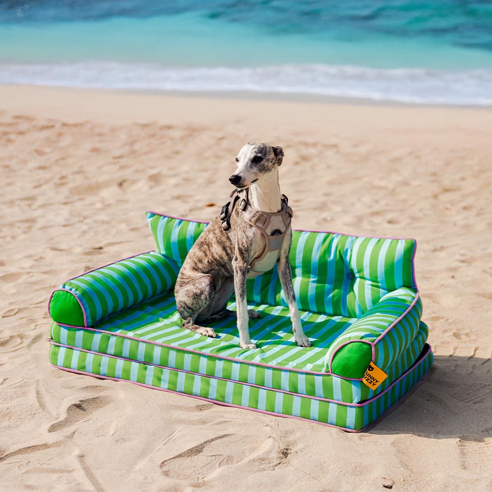 Stripe Waterproof Foldable Large Dog Sofa Bed - Sunny Siesta