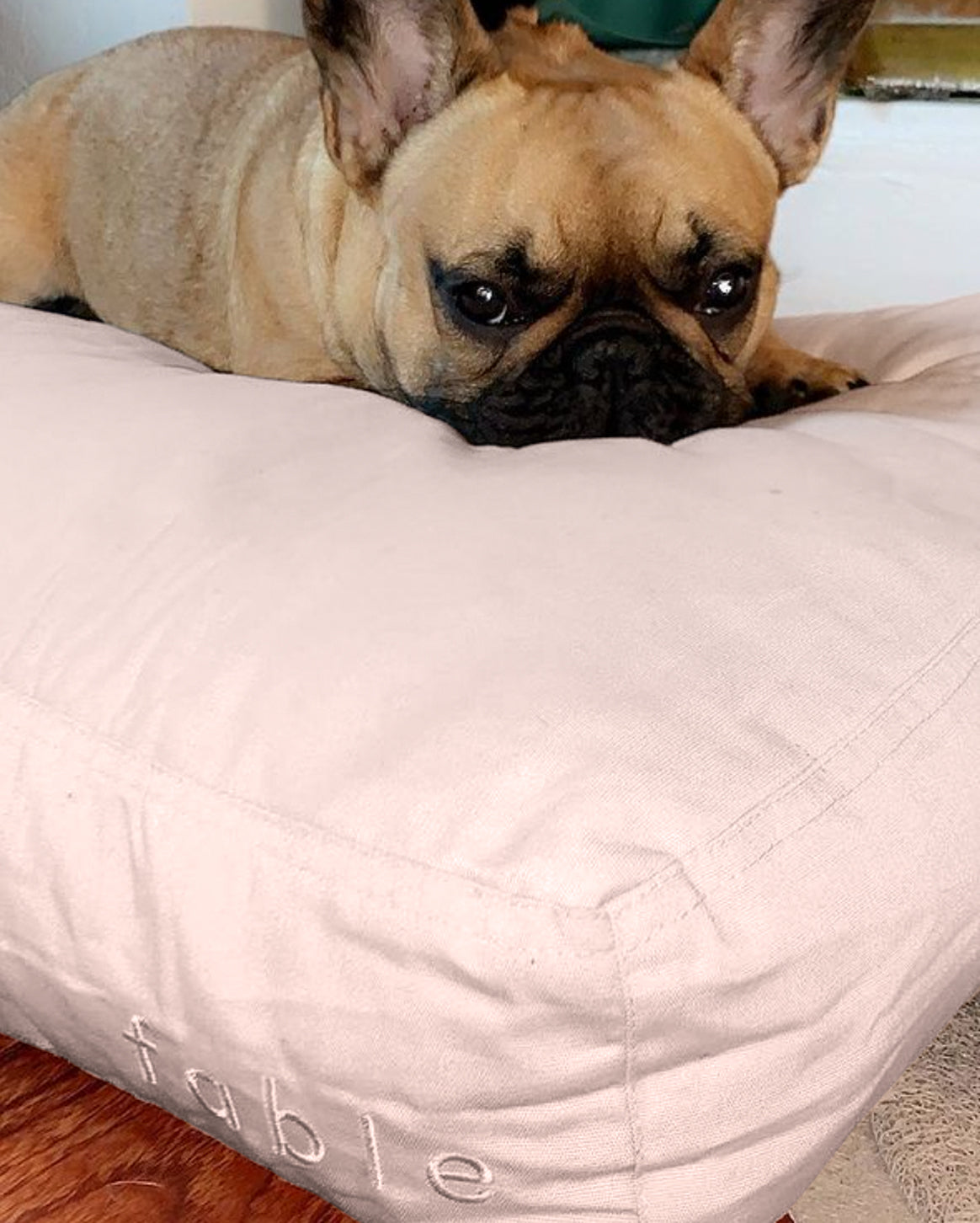 Rose Dust | XS/S | 15-lb dog | Sizer