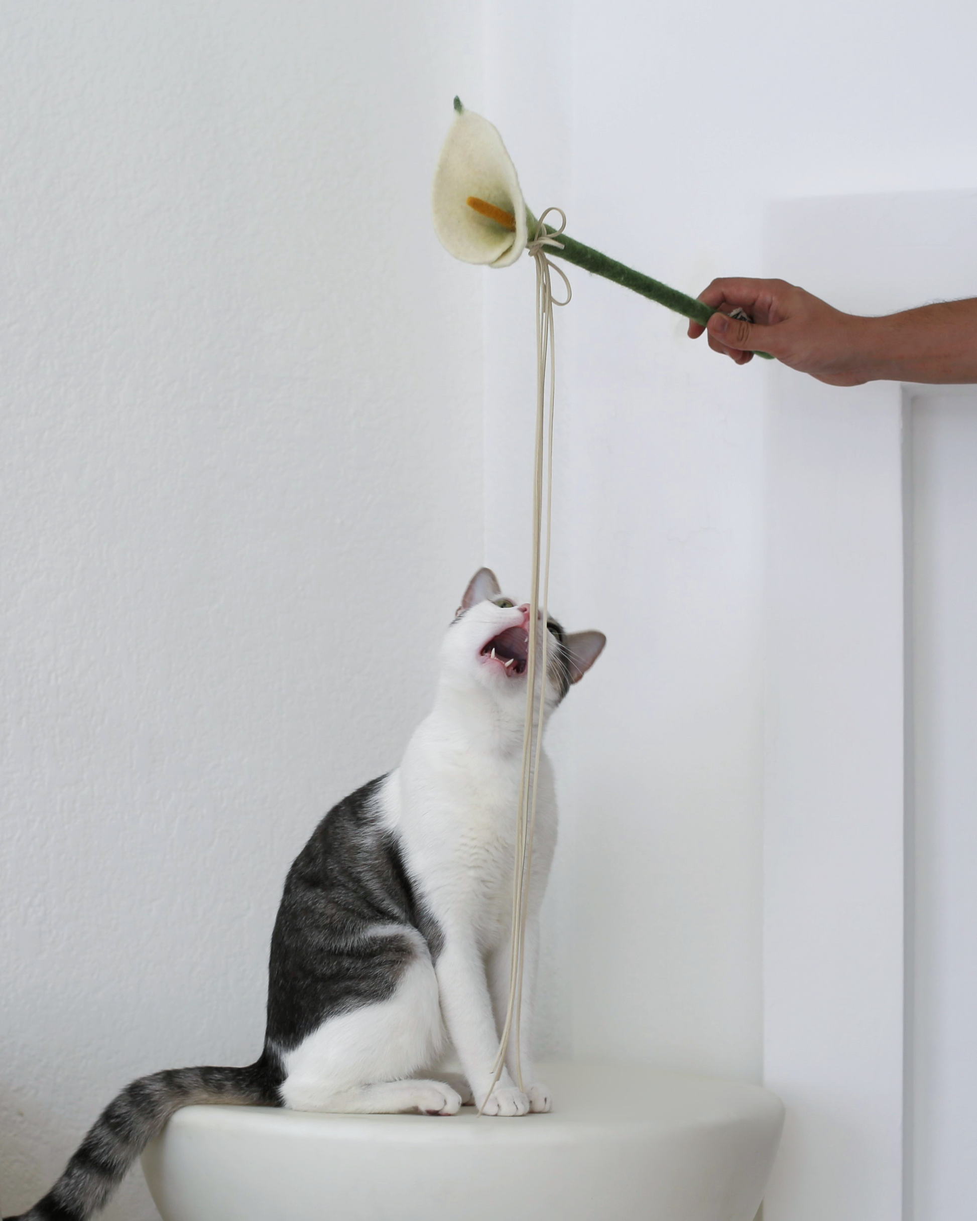 Catenary Flora Wand